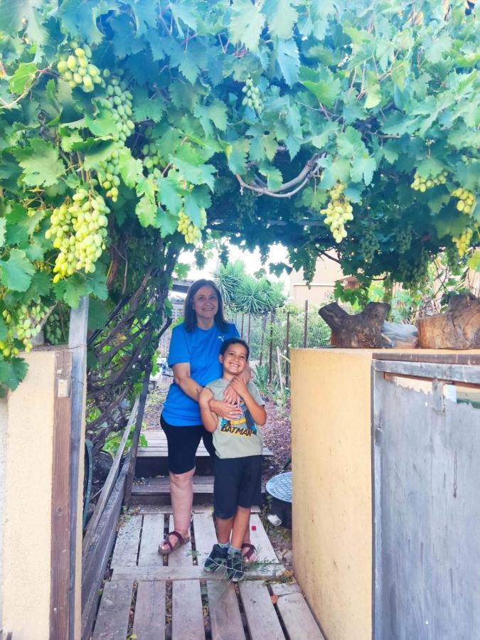 Апартаменти בין הר למעיין Kfar Tavor Екстер'єр фото